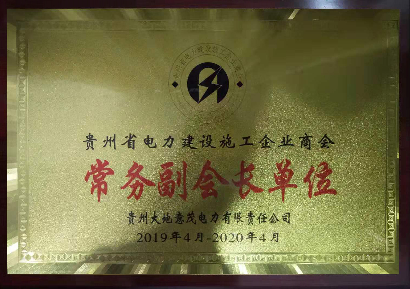 電力協(xié)會常務(wù)副會長單位_ok帶框.jpg